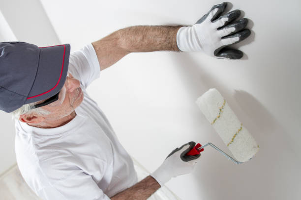 Best Mold Damage Restoration  in Iron River, MI
