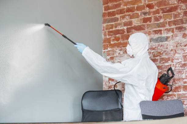 Best Residential Mold Inspection & Testing  in Iron River, MI