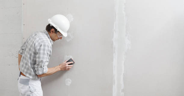 Best Mold Odor Removal Services  in Iron River, MI