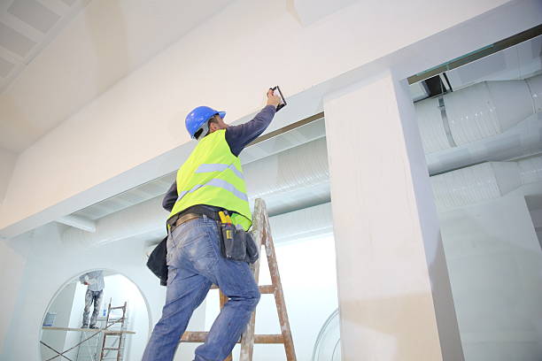 Best Industrial Mold Remediation  in Iron River, MI