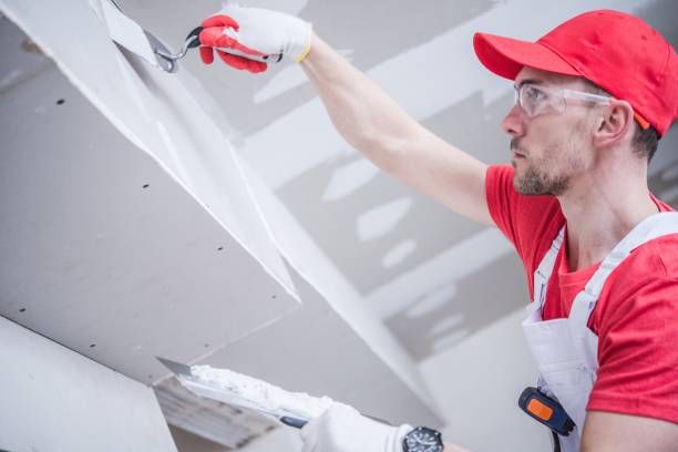 Best Mold Remediation for Vacation Homes  in Iron River, MI